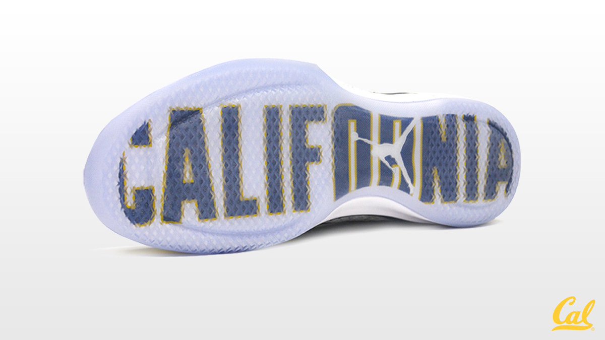 Cal Air Jordan 31 Sole