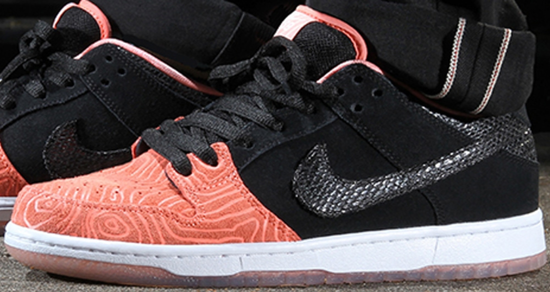 nike sb fish ladder