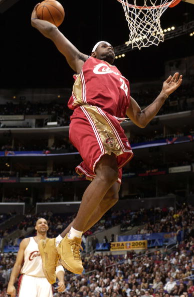 LeBron James wearing the Air Zoom Generation
