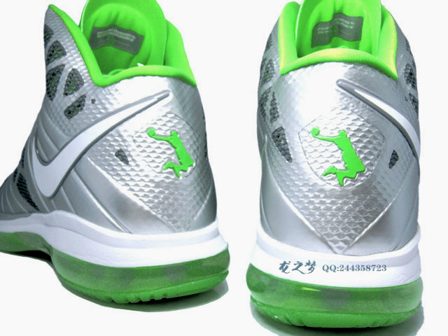 dunkman lebron 8