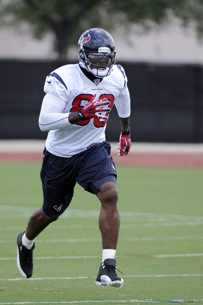 Andre Johnson wearing Air Jordan XII 12 Playoff Cleats (2)