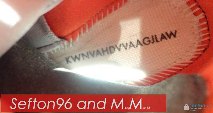 Nike Air Yeezy 2 II Wolf Grey Pure Platinum 508214-010 (10)