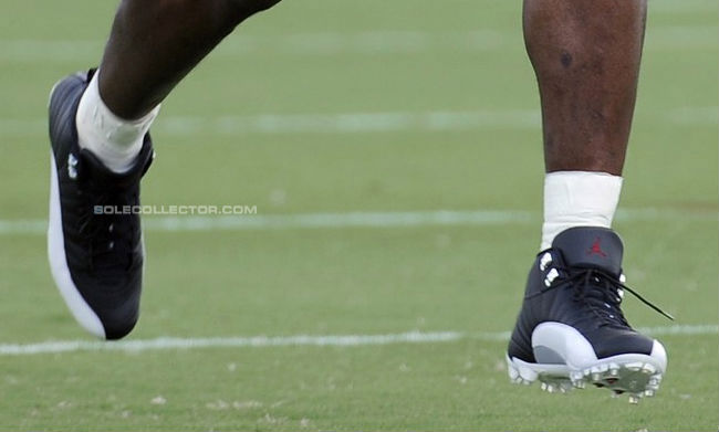 Andre Johnson wearing Air Jordan XII 12 Playoff Cleats (3)