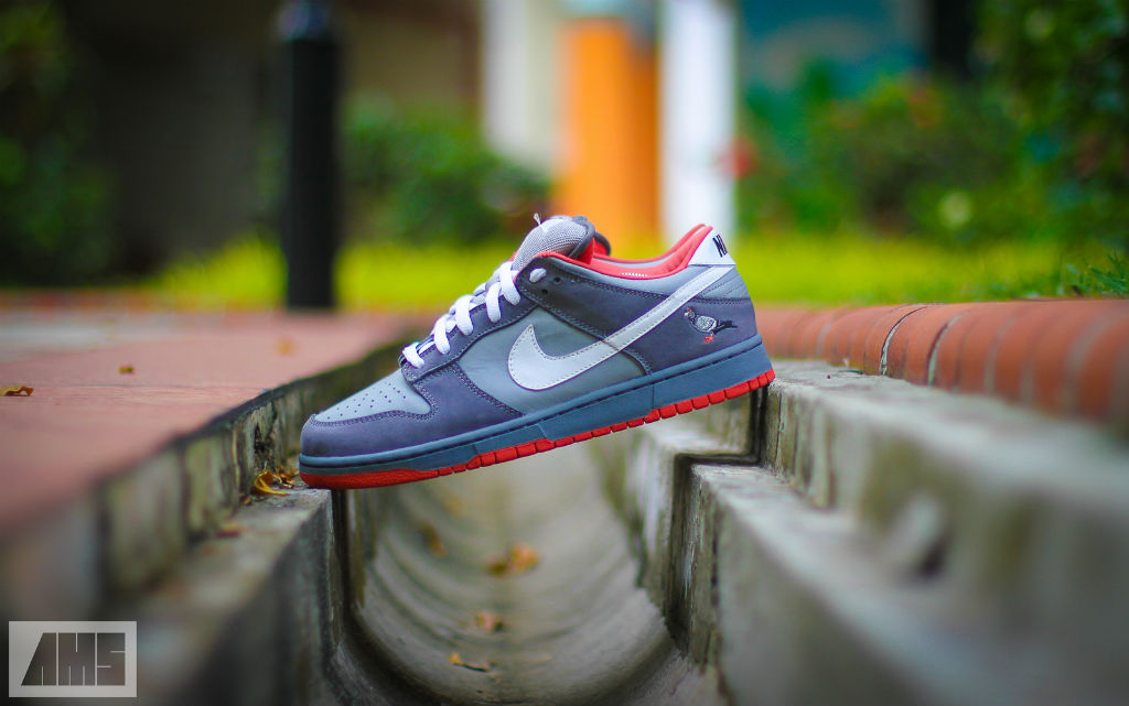 Spotlight // Pickups of the Week 10.20.13 - Nike Dunk Low SB Pigeon by tocracy