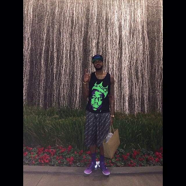 Earl Clark wearing Nike Kobe 8 Purple Gradient