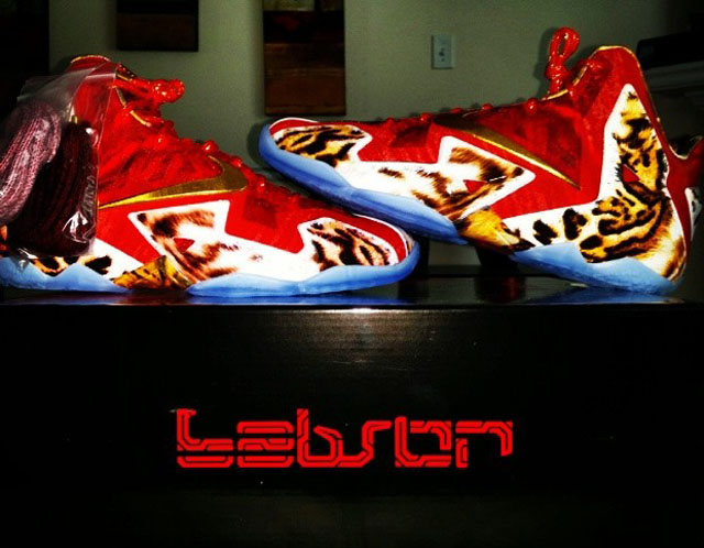 Nike LeBron XI 11 2K14 (20)