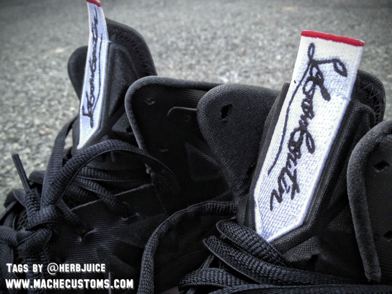 Nike LeBron X Lebronboutin by Mache Custom Kicks (3)