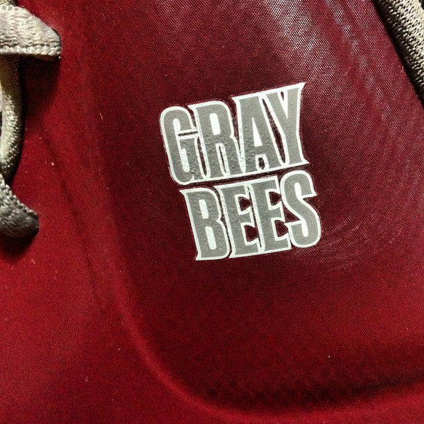 Nike KD V - St. Benedict's Prep Gray Bees (2)