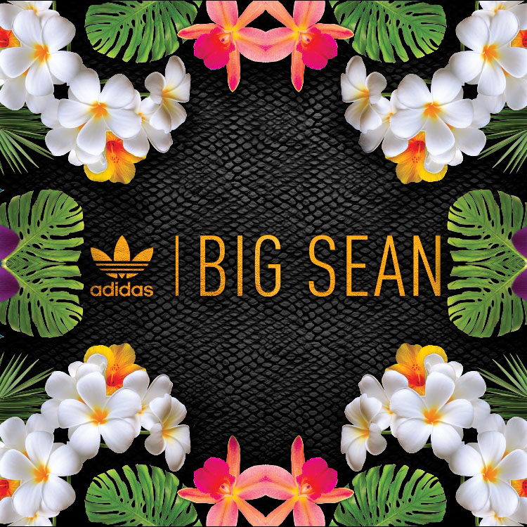 Big Sean x adidas Originals New Collaboration