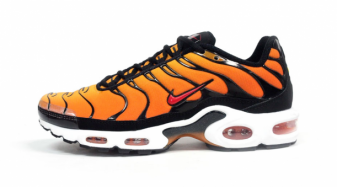 pump up nikes