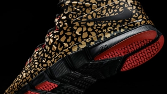 s4 nike