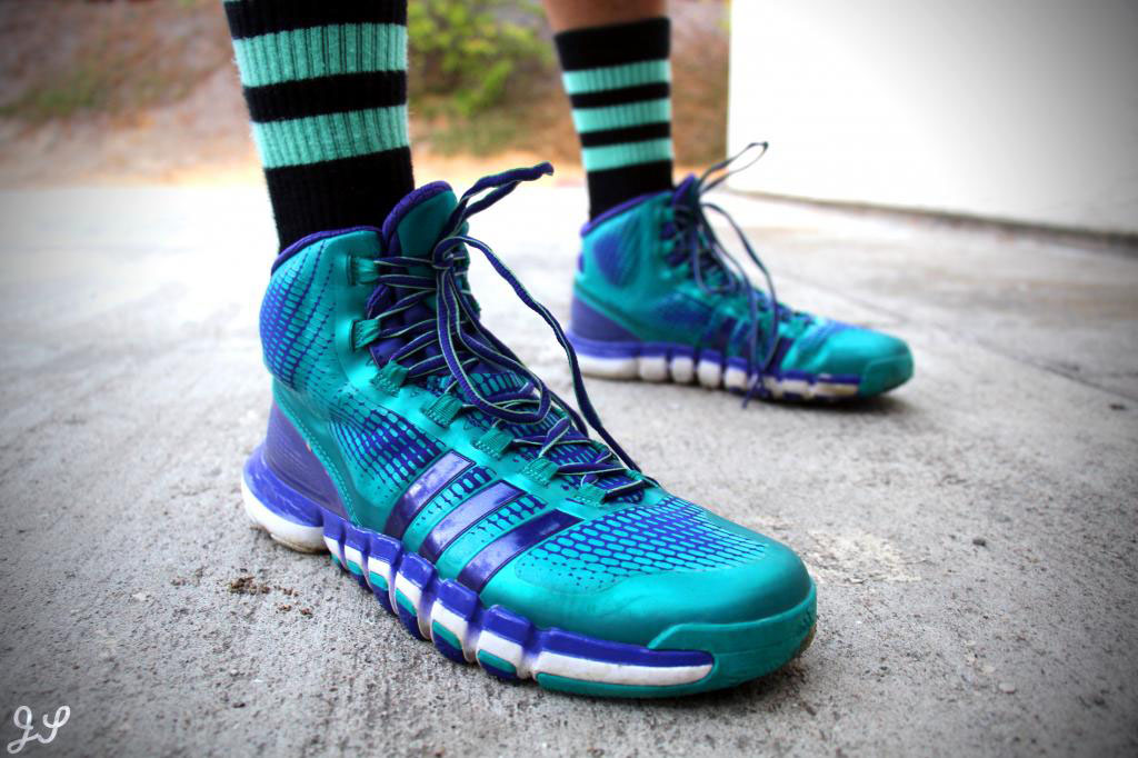 gdiemaster in the Teal/Purple adidas Crazyquick