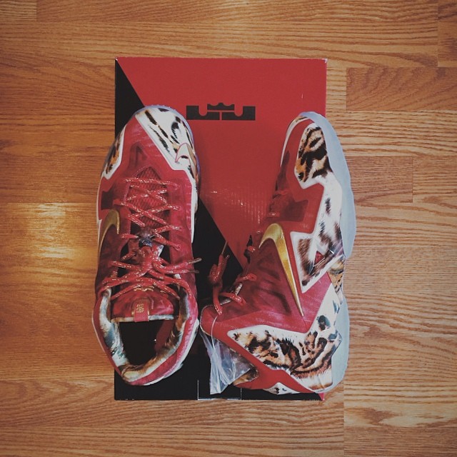 Nike LeBron XI 11 2K14 (29)