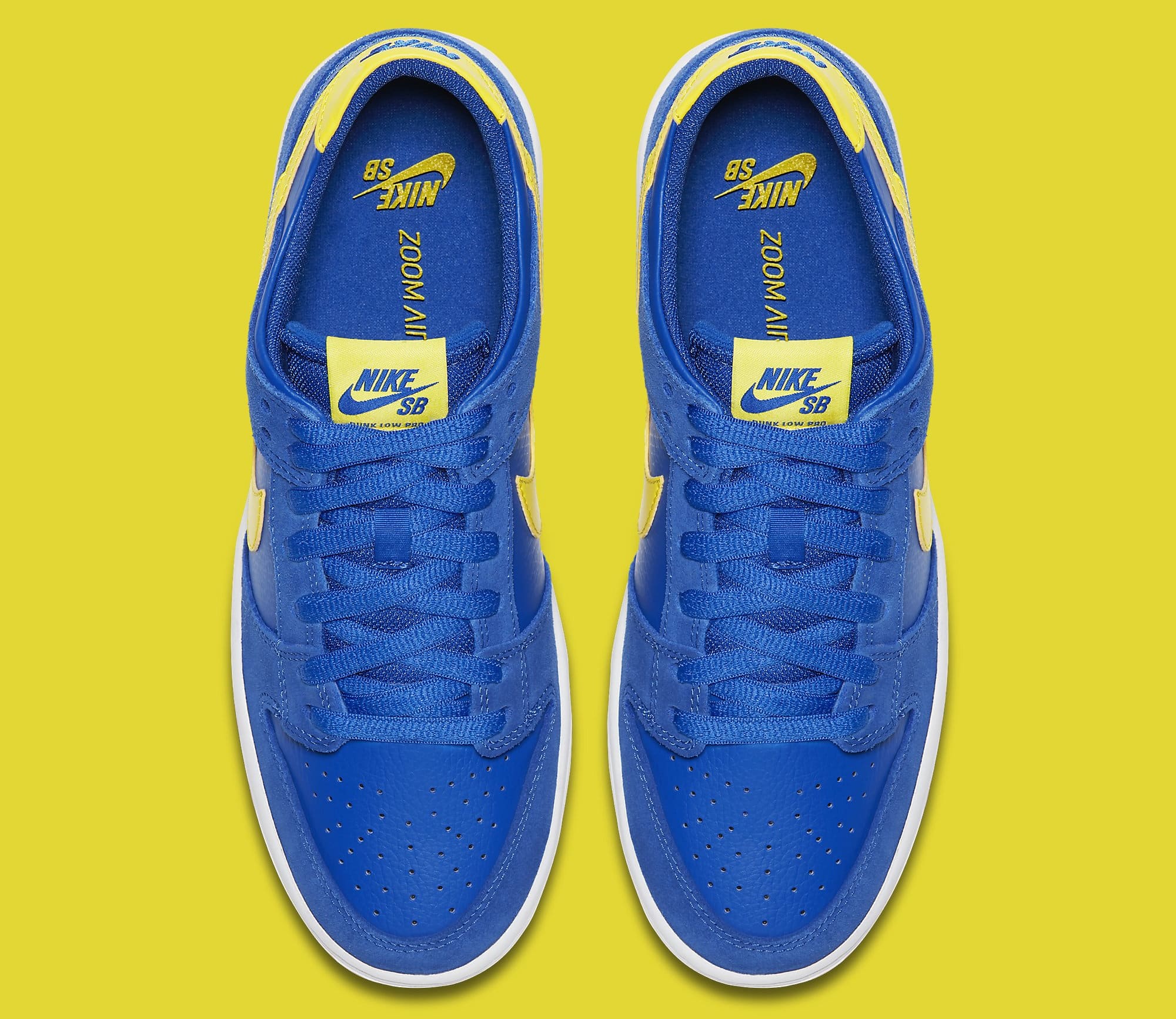 Nike SB Zoom Dunk Low Pro