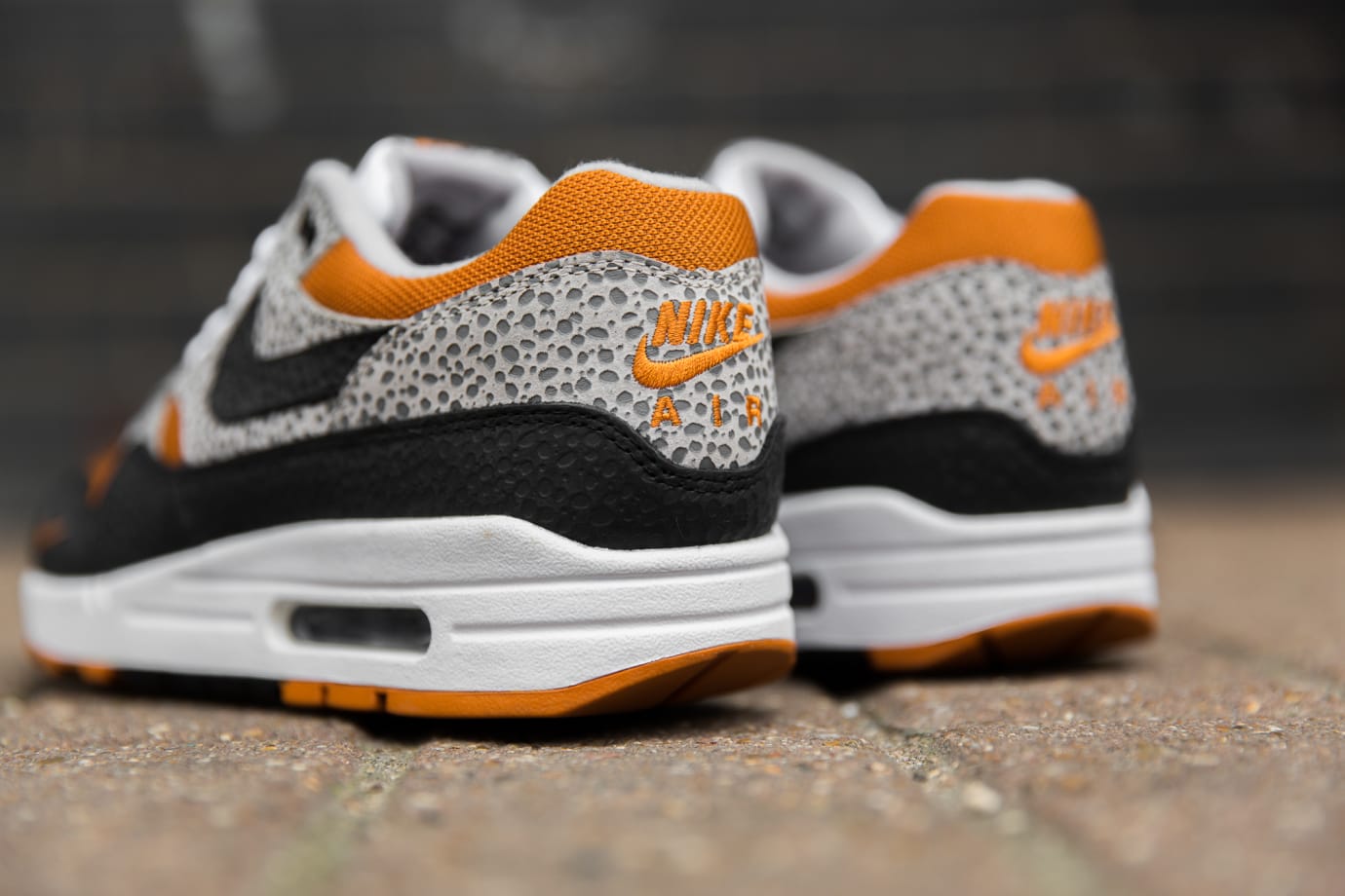 am1 safari