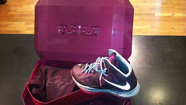 Lebron 10 best sale crown jewel