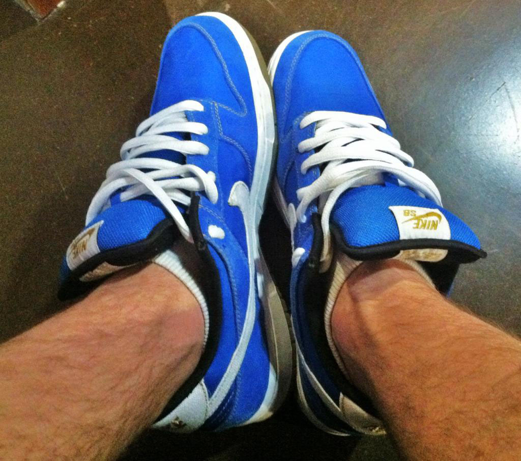 nike sb dunk chun li