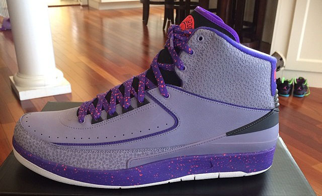 Air Jordan II 2 Iron Purple Safari Release Date 385475-553