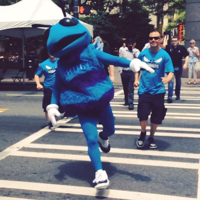 Hugo the Hornet wears Concord Air Jordan XI 11 (2)