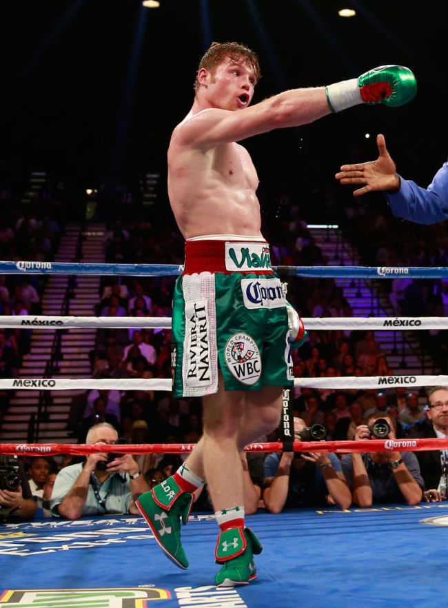 canelo boxing boots