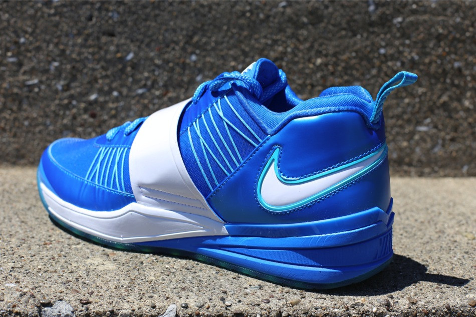 nike zoom revis