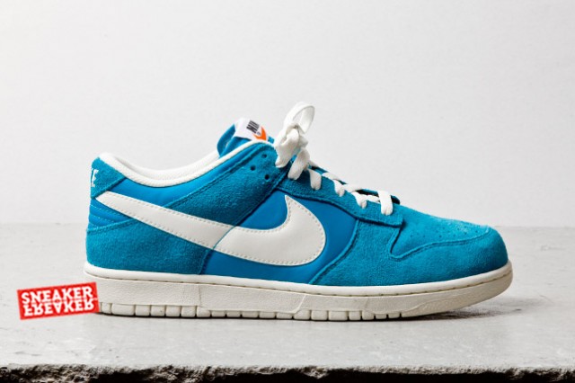 Nike on sale sb turquoise