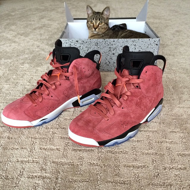 Macklemore Picks Up Air Jordan VI 6 Red Pe