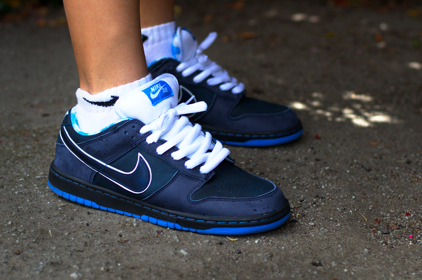 Черно синие найки. Nike SB Dunk Blue. Nike SB Dunk Low голубые. Nike SB Dunk Low синие. Nike SB Dunk голубые.