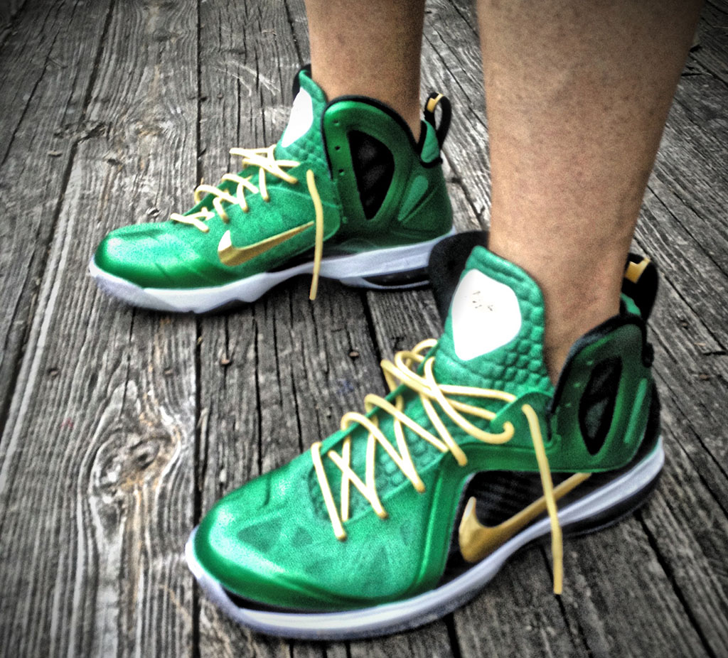 Nike LeBron 9 P.S. Elite SVSM by Mache Custom Kicks (3)