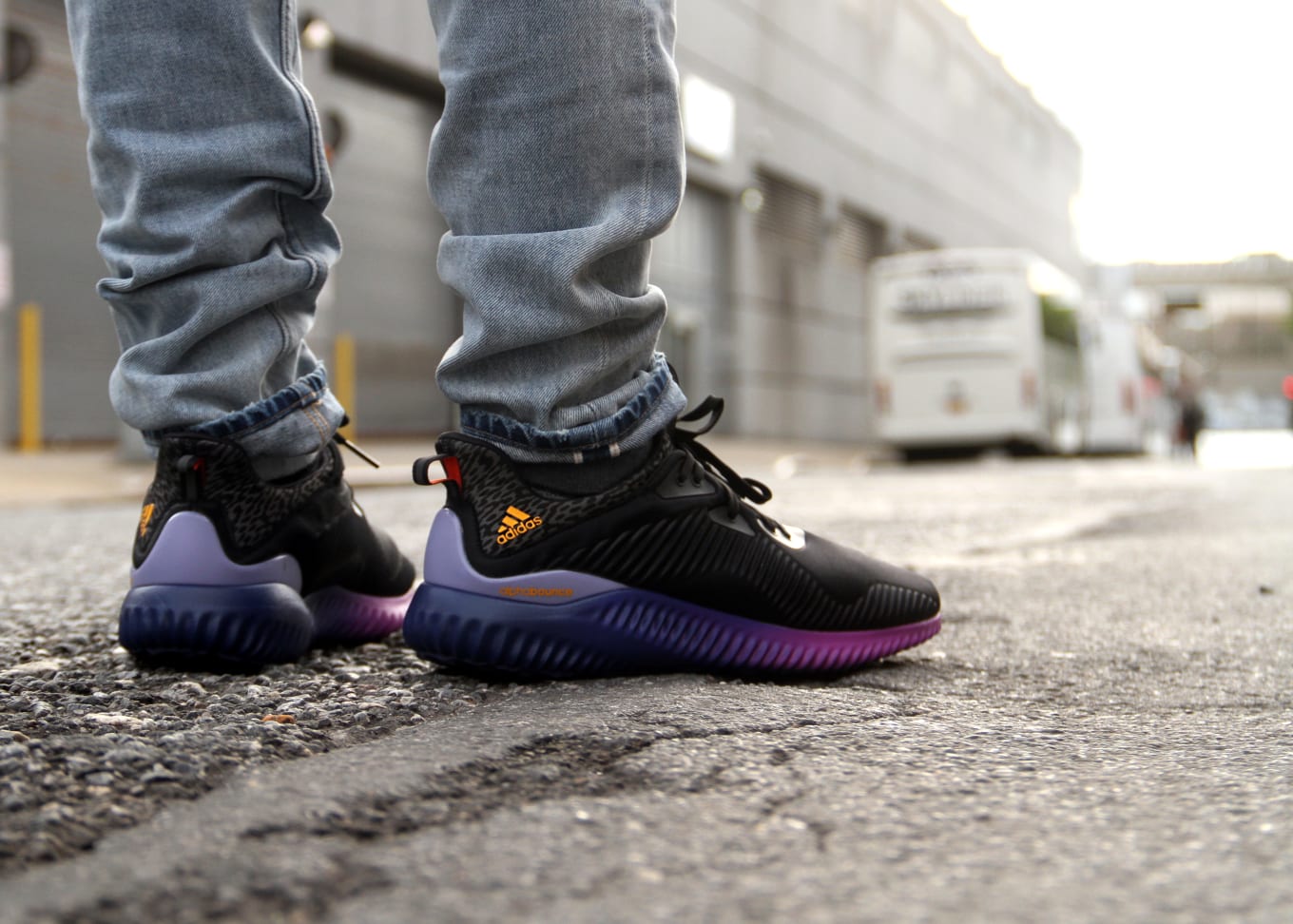 adidas alphabounce purple blue