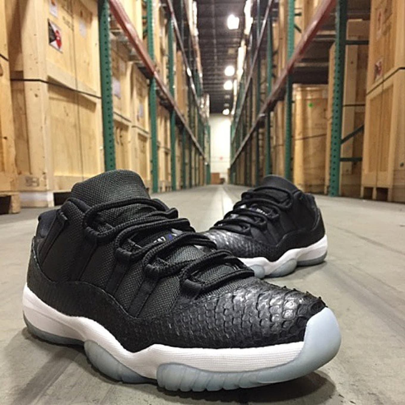 jordan 11 python