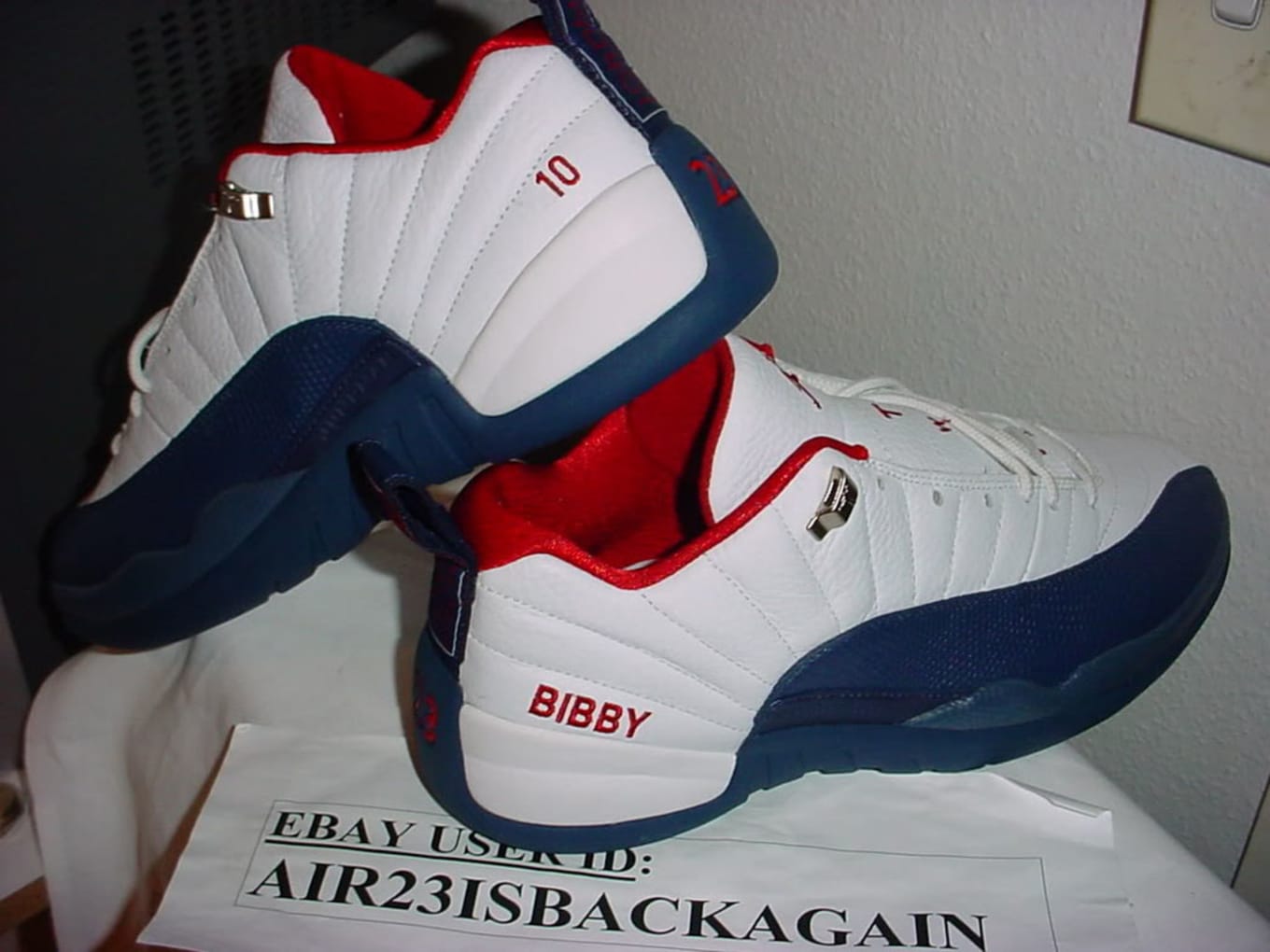 mike bibby jordan 12