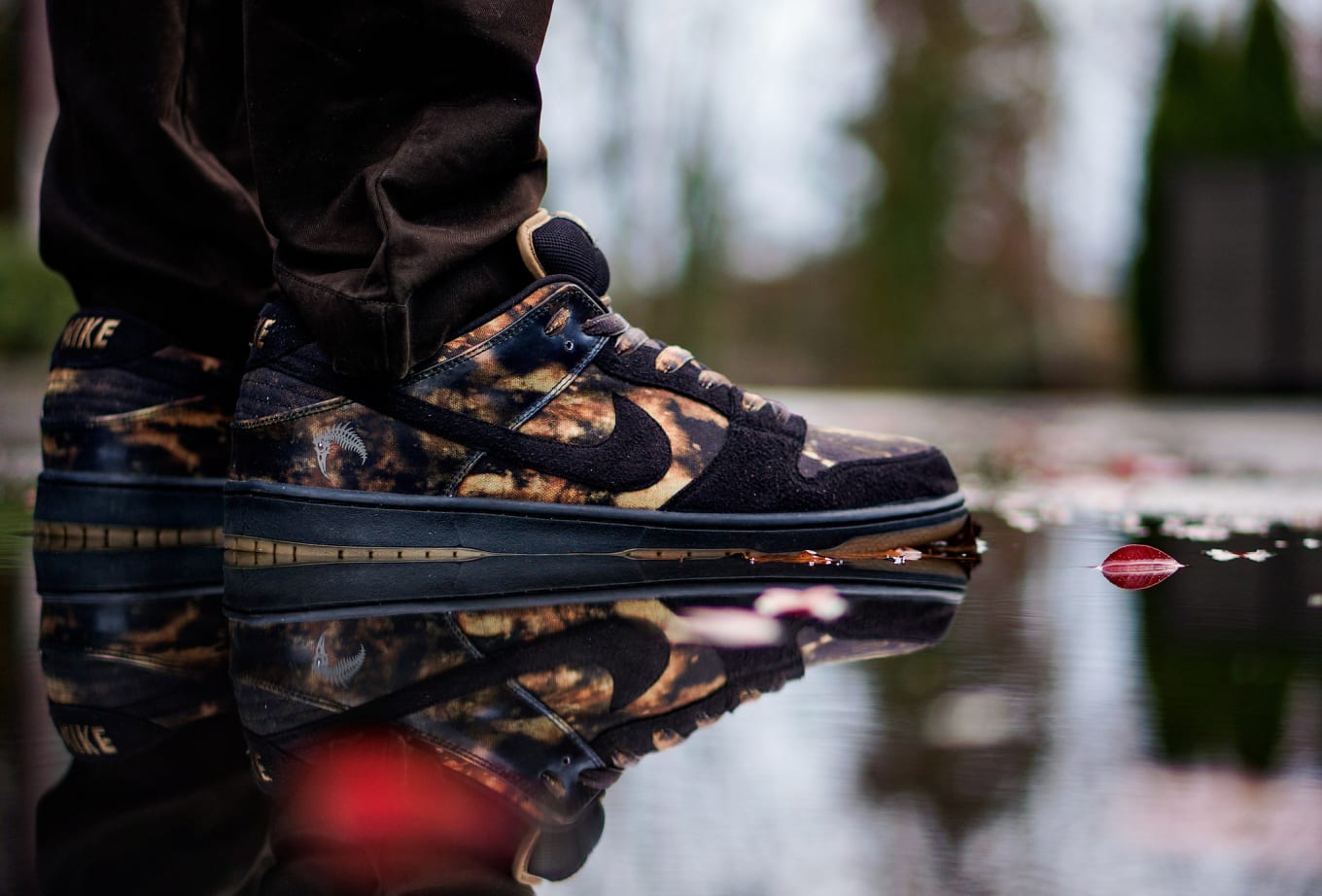 nike sb dunk low pushead