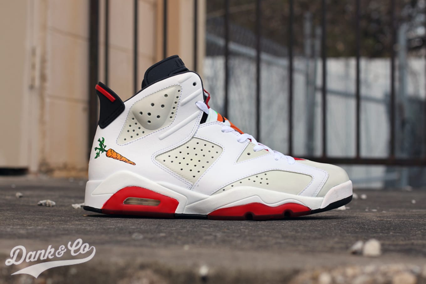 custom jordan 6