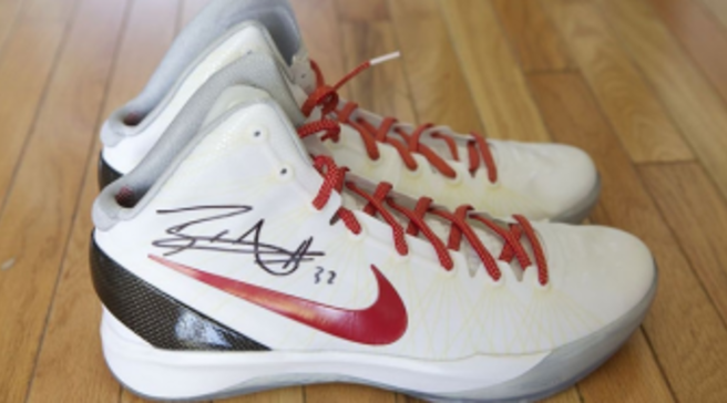 nike zoom hyperdunk elite