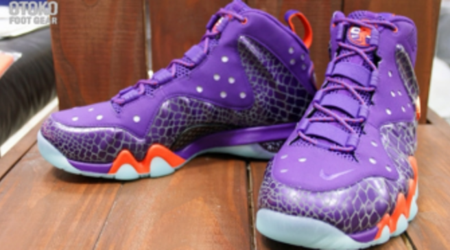 charles barkley posite max