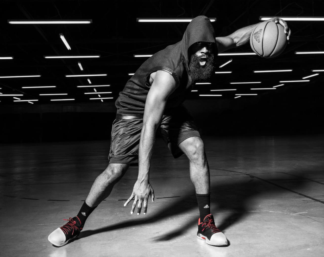 harden vol 1 gila monster