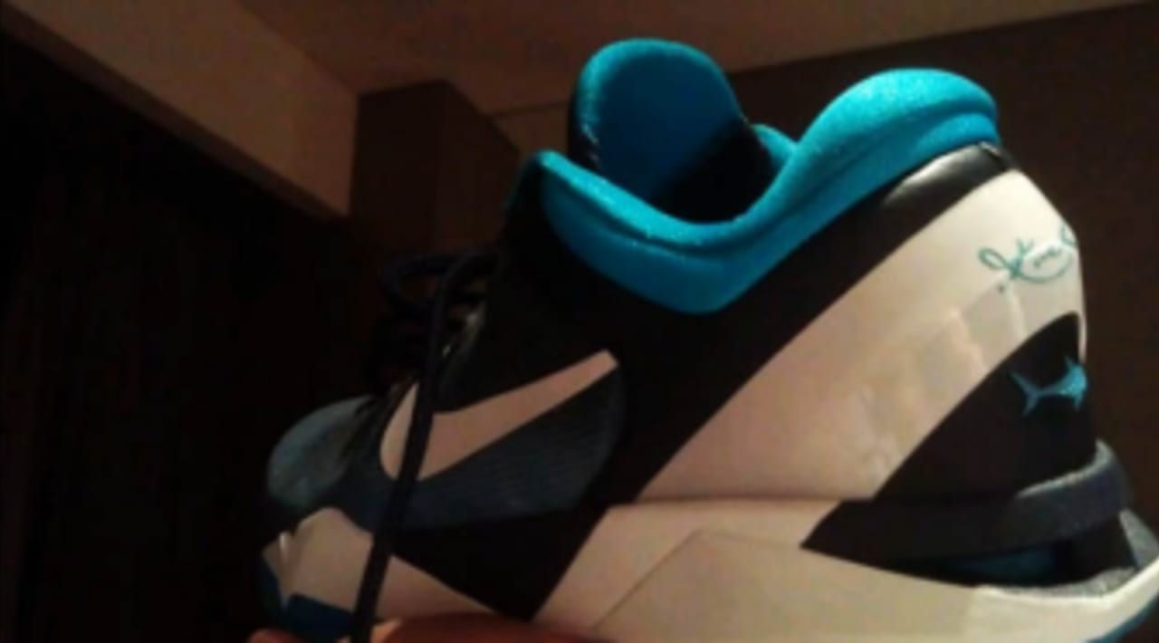 kobe 7 shark