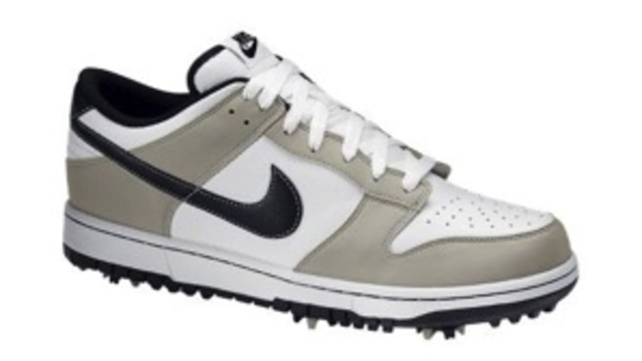 nike dunk ng