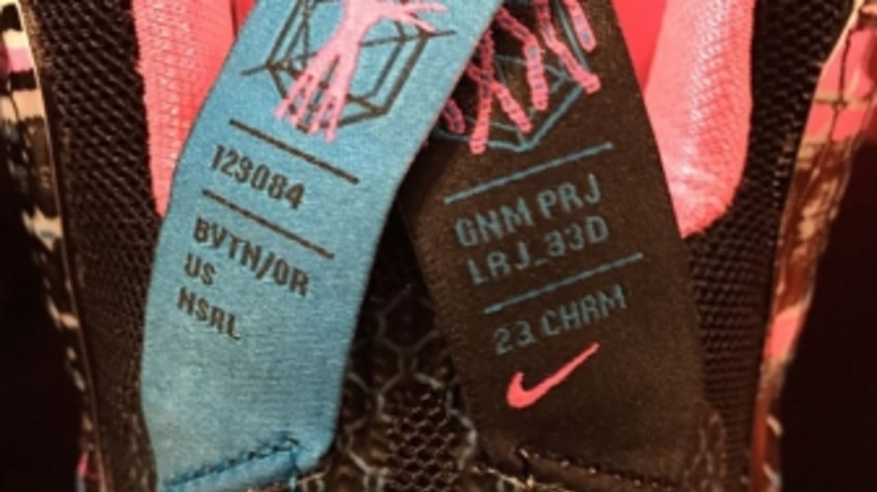 lebron 23 chromosomes