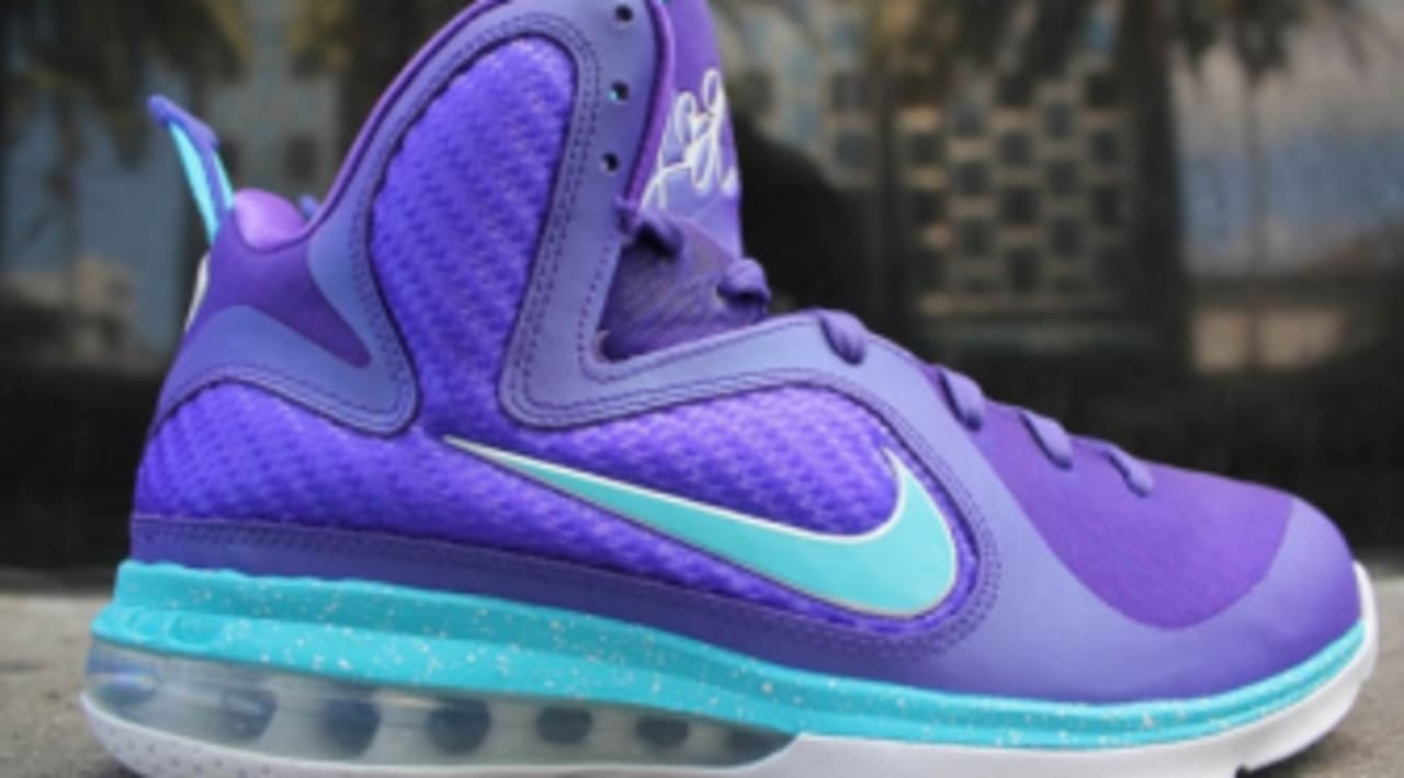 nike lebron hornets