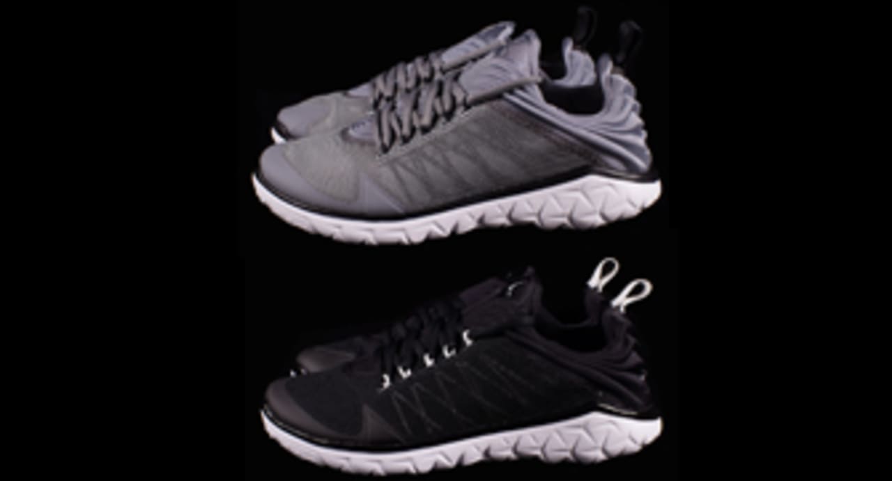 jordan flight flex tr2
