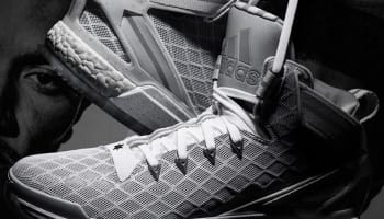 adidas D Rose 6 Boost Home