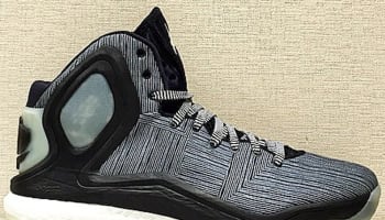adidas D Rose 5 Boost Black/White-Glow