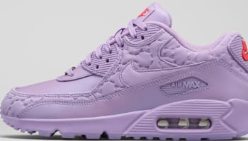 Women's Nike Air Max 90 Paris Macaroon