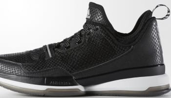 adidas D Lillard 1 Core Black/Running White