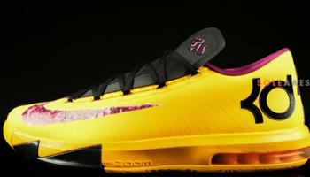 Nike KD 6 Peanut Butter & Jelly