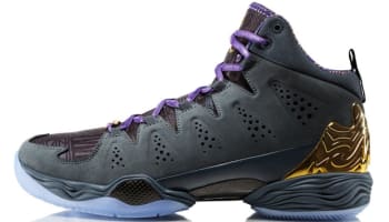 Jordan Melo M10 BHM Dark Magnet Grey/Metallic Gold-Black-Court Purple