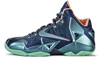 Nike LeBron 11 Akron vs. Miami Brave Blue
