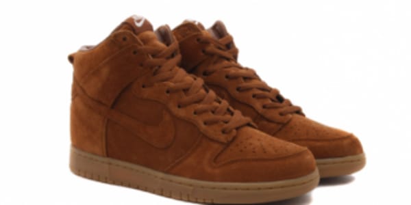 nike apc dunks